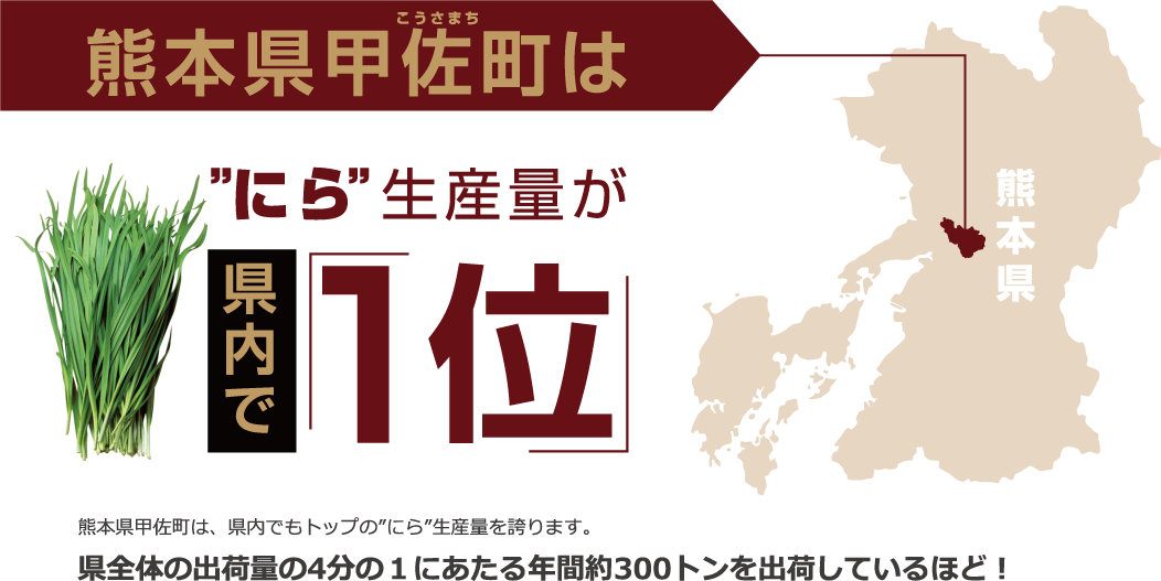 熊本県甲佐町は”にら”生産量が県内で1位！熊本県甲佐町は、県内でもトップの”にら”生産量を誇ります。
県全体の出荷量の4分の１にあたる年間約300トンを出荷しているほど！
